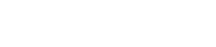 Apple:
An intelligent Club Management System, it manages membership and renewal of the subscribers and inside the premises services...